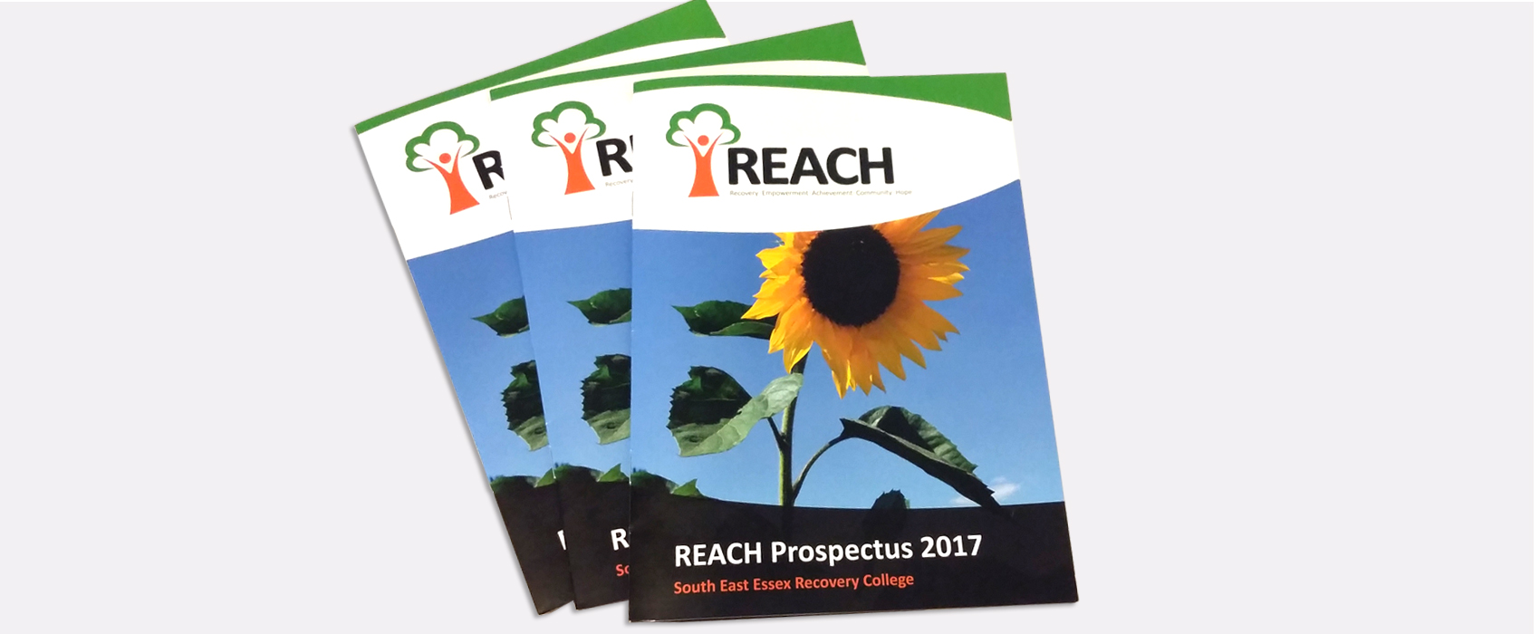 REACH Brochure