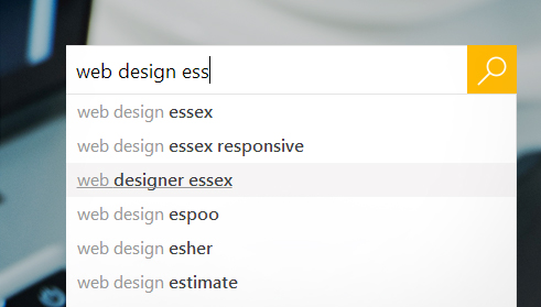 SEO Essex